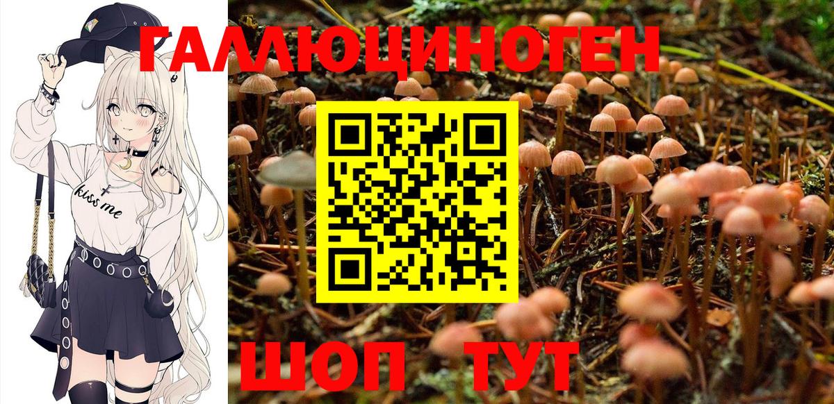 Псилоцибиновые грибы Cubensis  Псилоцибиновые грибы мухоморы  Нижнеудинск  Вход с VPN 