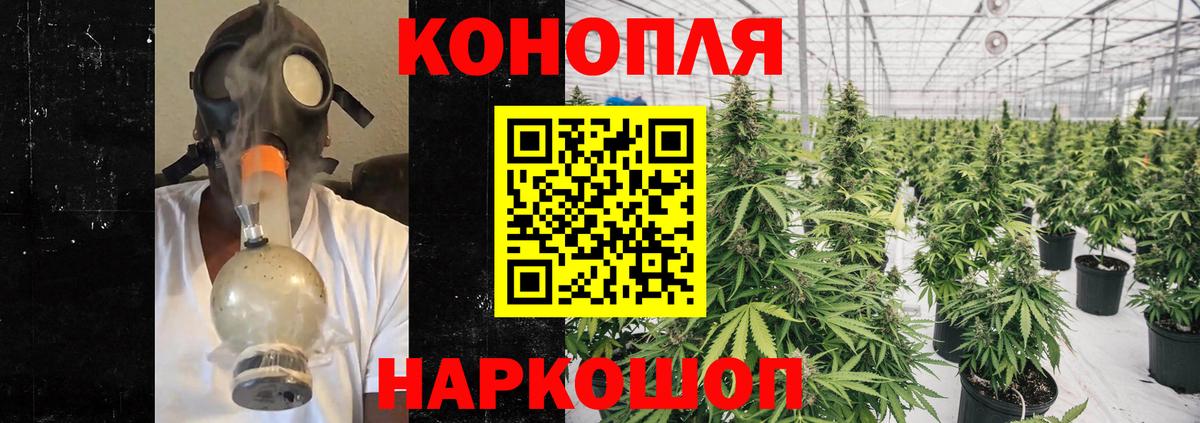 МАРИХУАНА семена  Бошки Шишки тримм  Шишки марихуана планчик  Нижнеудинск  Вход с VPN 